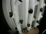 01.gif